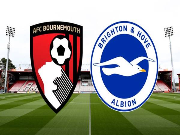 Lịch sử và Thành tích đối đầu giữa Brighton vs Bournemouth