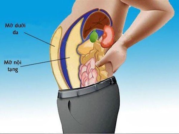 Cách giảm mỡ nội tạng hiệu quả và nhanh chóng