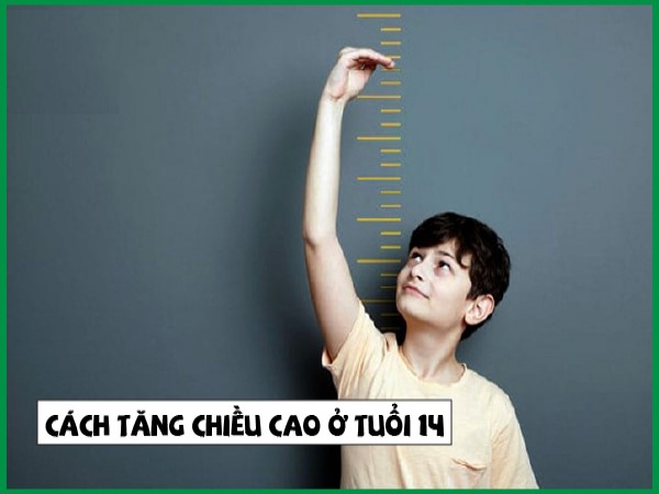 Vươn tầm đỉnh cao TOP các cách tăng chiều cao ở tuổi 14